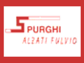 Alzati Fulvio Spurghi