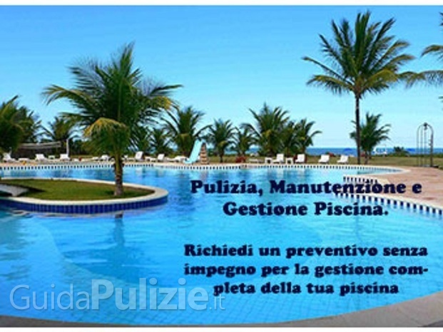 Pulizia piscine