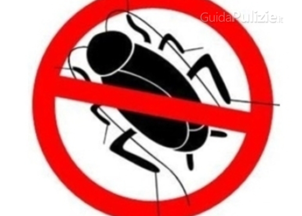  disinfestazione scarafaggi