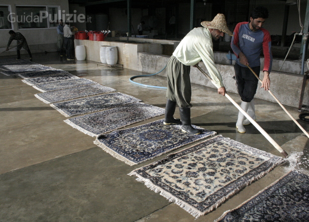 Pazirik (Centro lavaggio di tappeti persiani e orientali