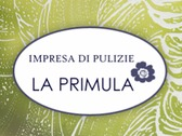 La Primula