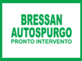 Bressan Autospurgo