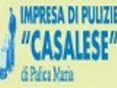 Impresa Di Pulizie Casalese