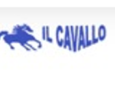 IL CAVALLO