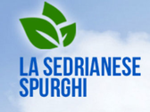 Sedrianese Spurghi