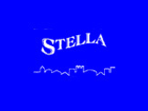 Impresa Di Pulizia Stella