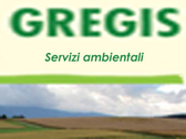 Gregis