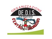 De.d.i.s. Di Degiovanni