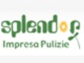 SPLENDOR PULIZIE