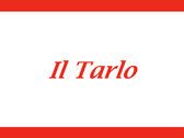 Il Tarlo