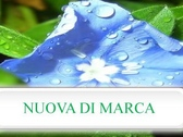 Nuova di Marca