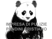 Logo Pandini Cristiano