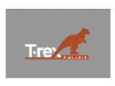 Agenzia T.Rex Pulizie