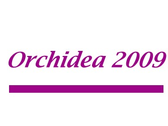 Orchidea 2009